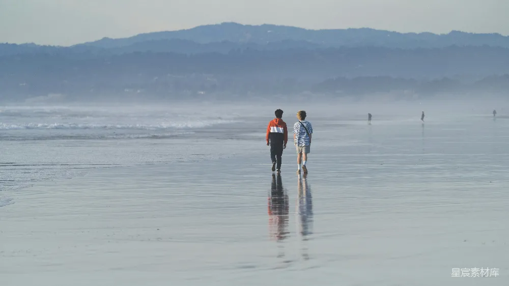 高清摄影  男人和女人在白天的海滩上手牵手散步。