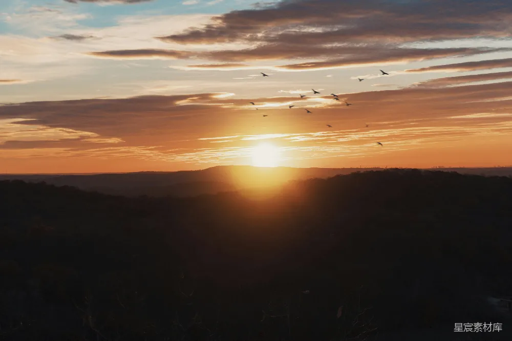 高清摄影  夕阳西下，鸟儿在空中飞翔