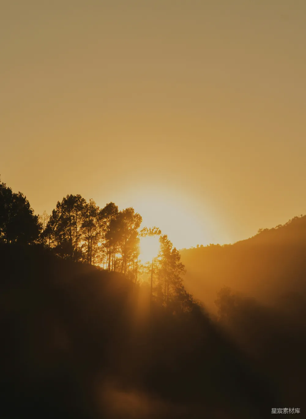 高清摄影  夕阳西下，树木与群山相映成景