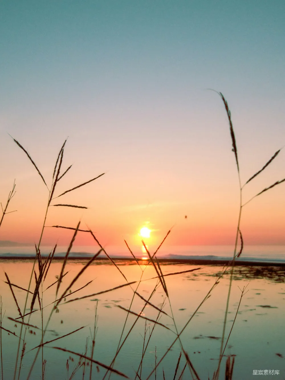 高清摄影  夕阳西下，海滩上笼罩着金色的余晖。