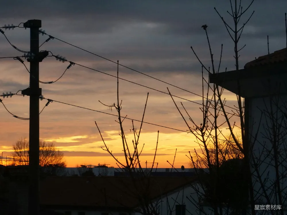 高清摄影  夕阳下电杆的剪影