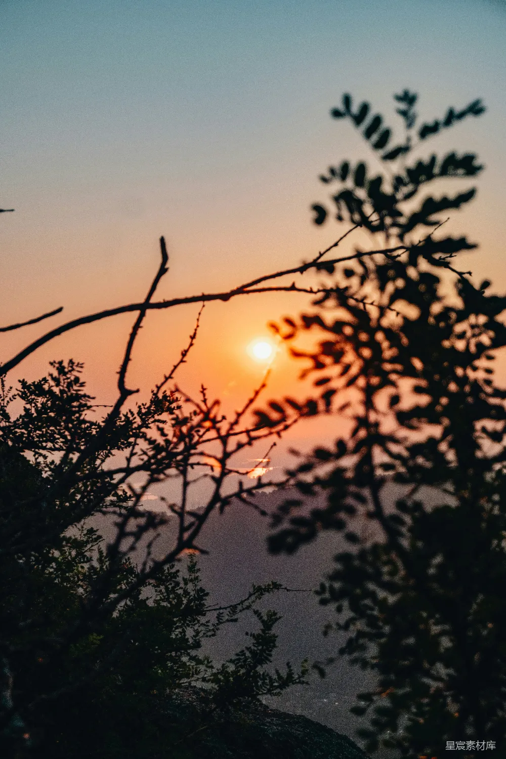 高清摄影 壁纸 自然 夕阳在远处的树木后面落下。