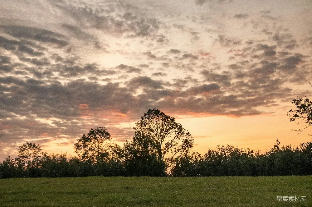 高清摄影 壁纸 自然 夕阳洒在碧绿的草地上。