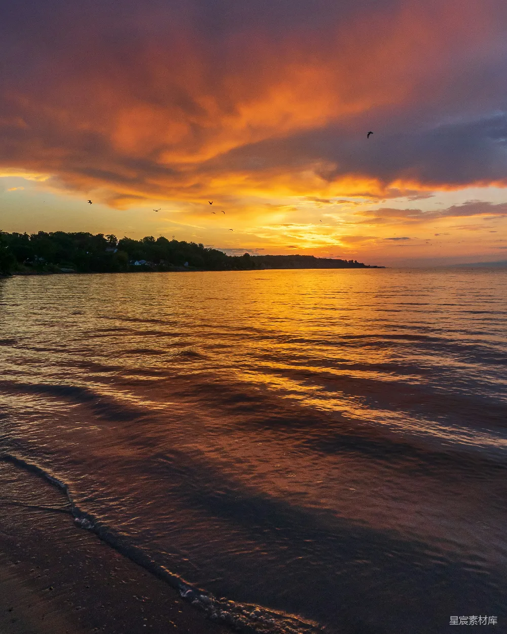 高清摄影  夕阳映照下的海滩景色，海浪正涌向岸边。