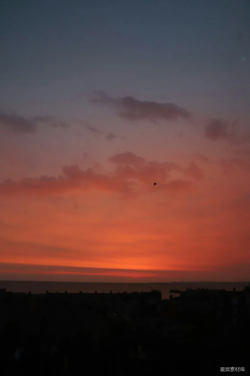 高清摄影  大海上方绚丽的夕阳与黑色剪影