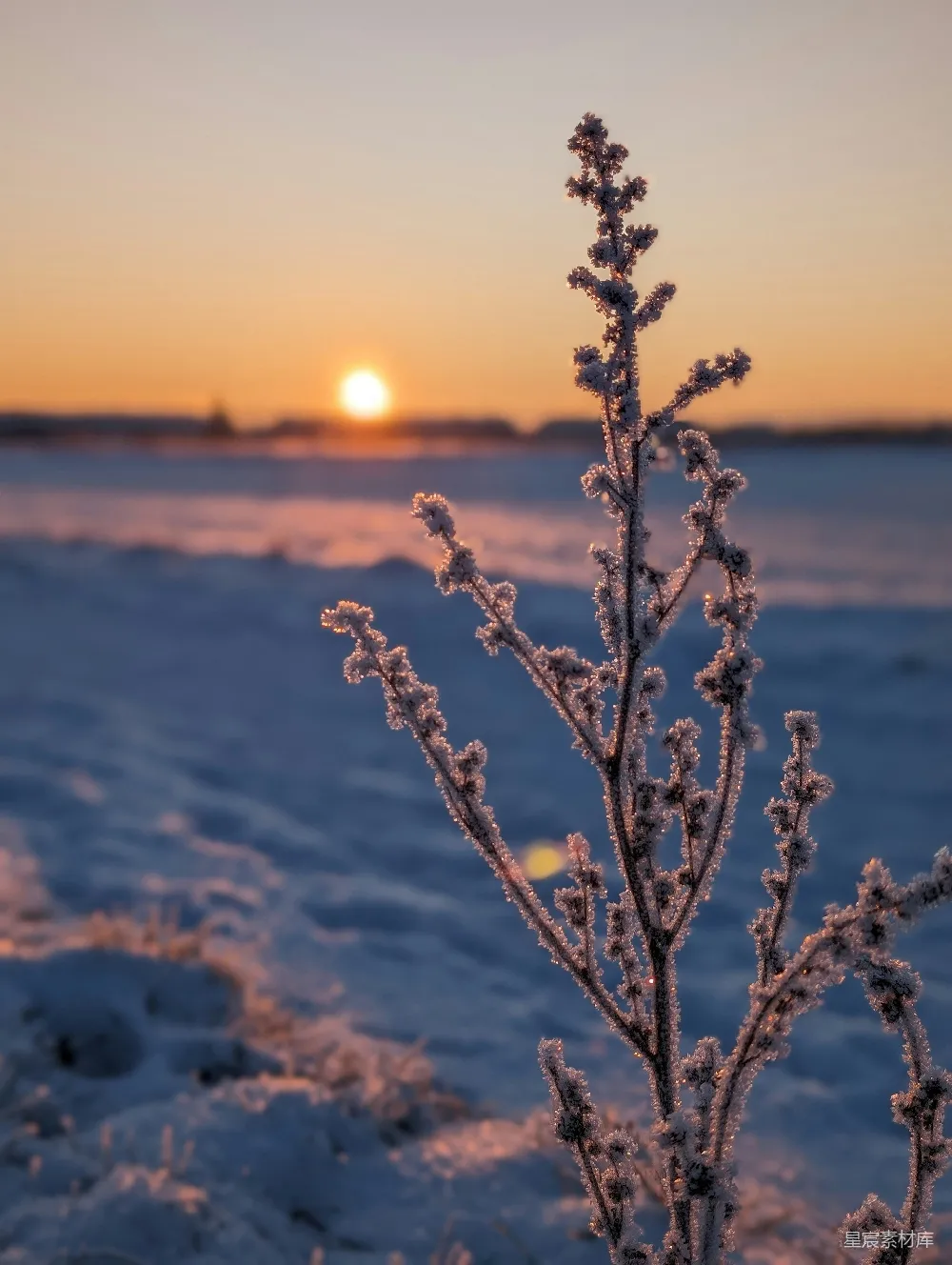 高清摄影  太阳正落在这片雪地上。