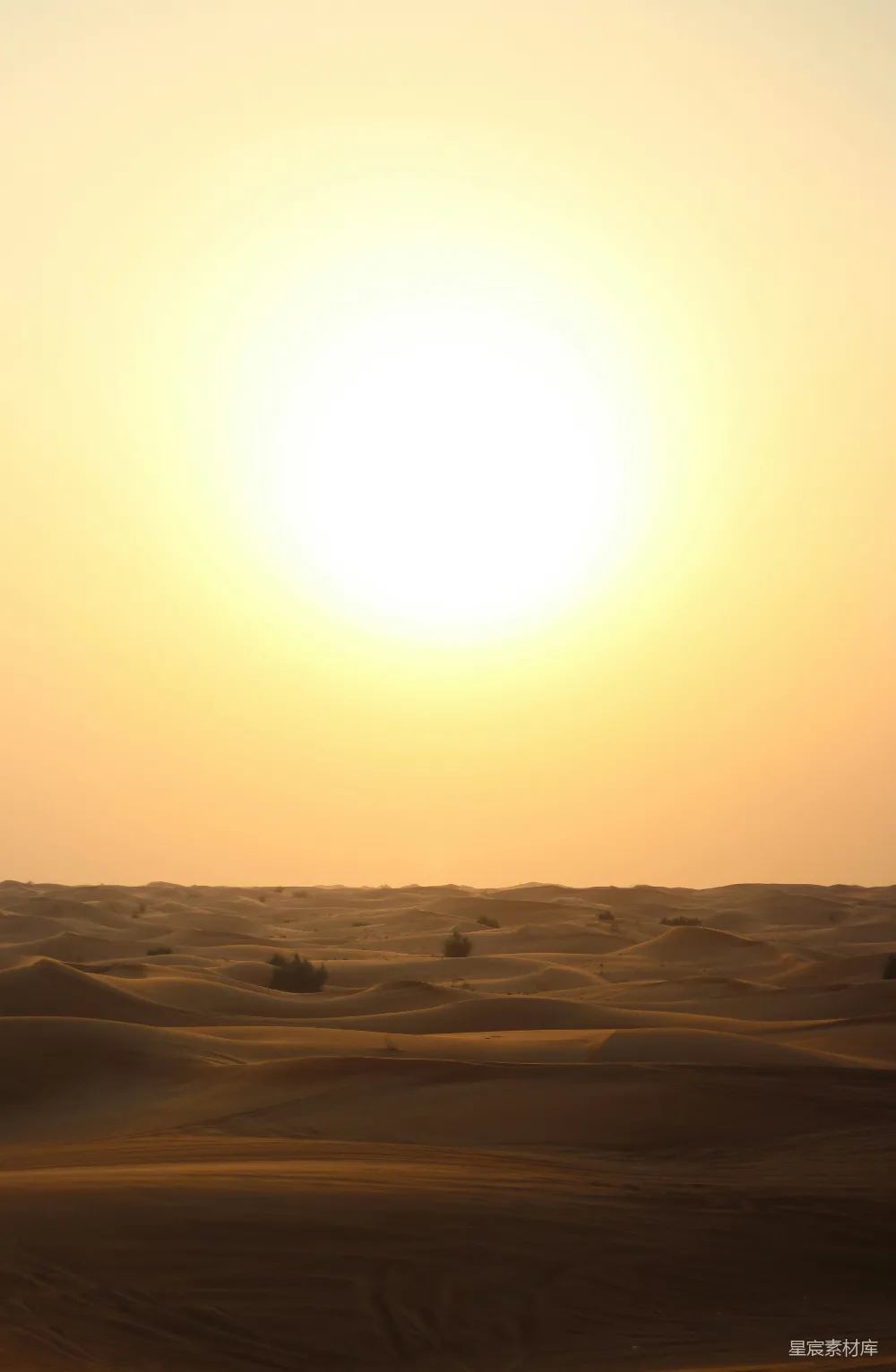 高清摄影  夕阳下的米色沙粒