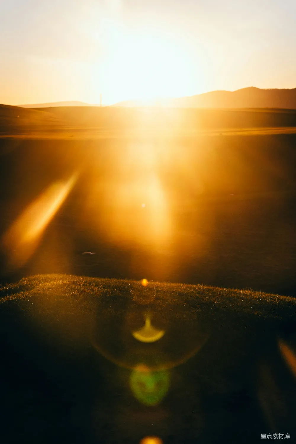 高清摄影  夕阳将大地染成一片温暖的金色光辉。