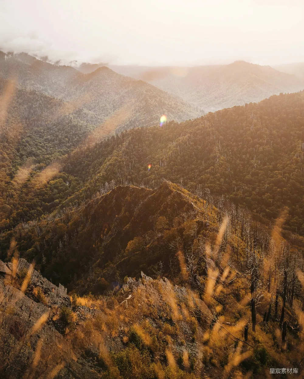 高清摄影 旅行 自然 壁纸 一座山脉的远景，前景中有树木。