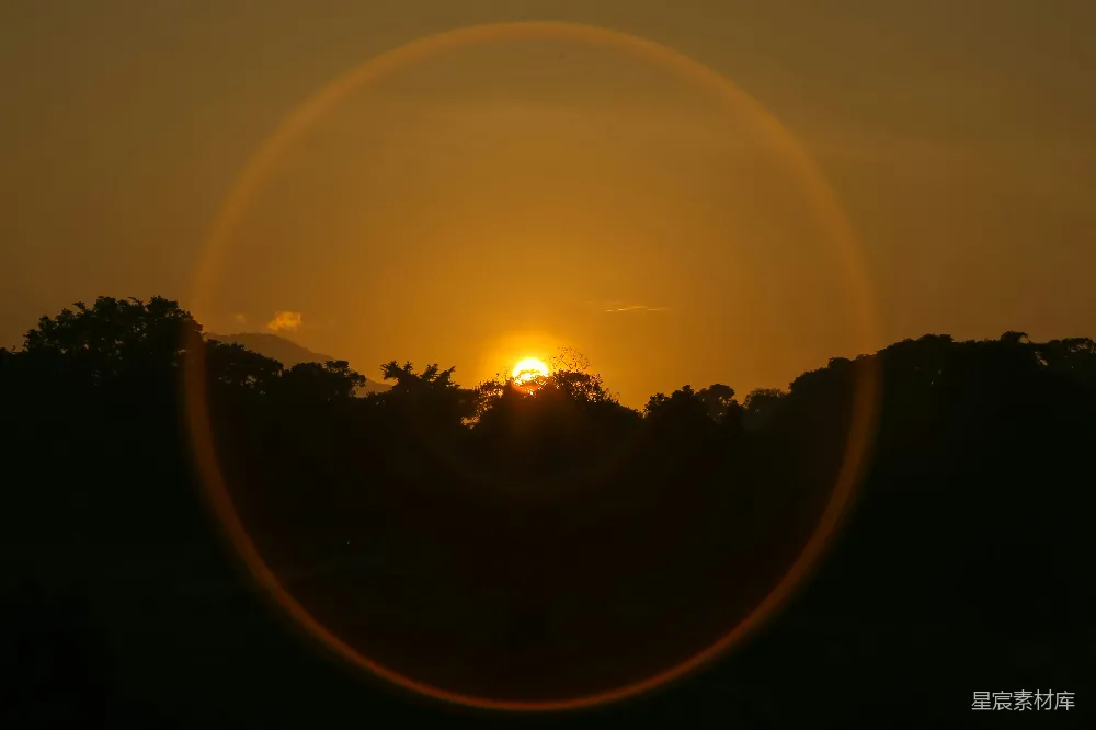 高清摄影  森林上空的夕阳