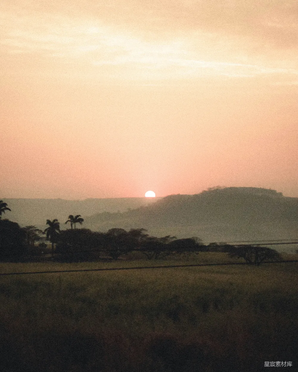 高清摄影  夕阳下的绿色草地