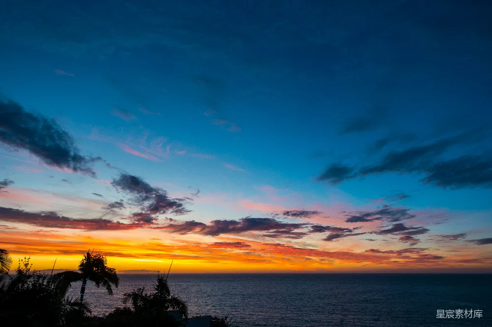 高清摄影  夕阳下的水边树木剪影