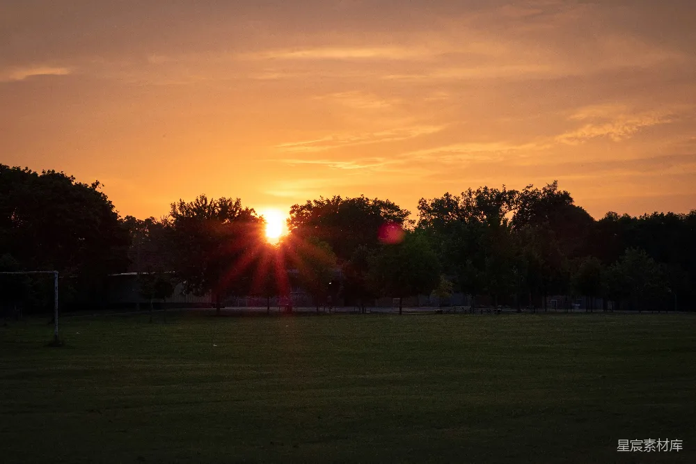 高清摄影  夕阳照耀在一片绿草地上，树木矗立其间。