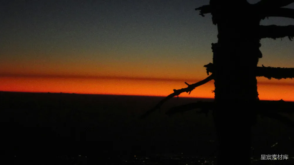 高清摄影  一棵树在夕阳的天空中剪影成形。