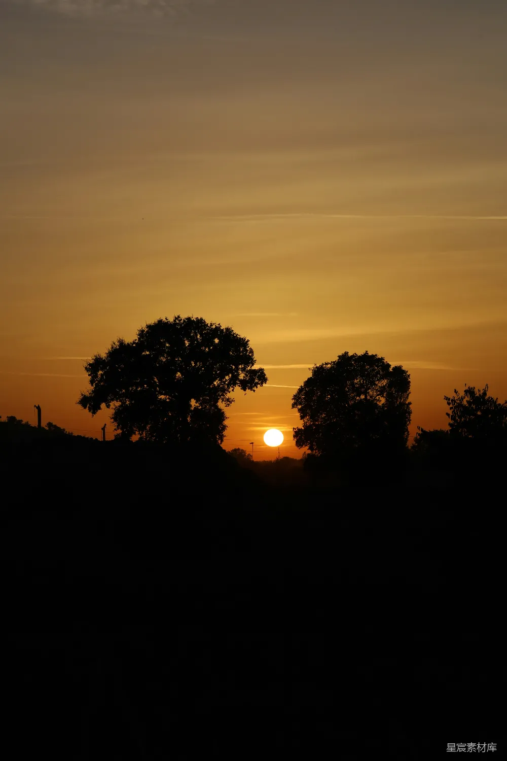 高清摄影  树木剪影在绚丽的夕阳天空中。