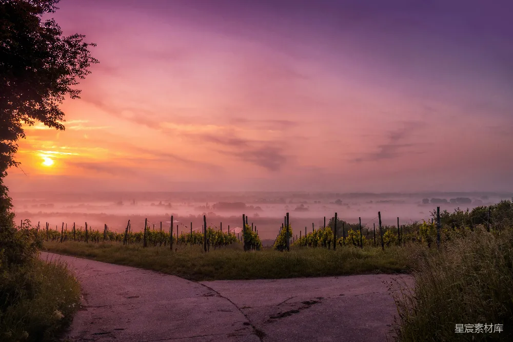 高清摄影  夕阳西下时，绿色草地间的灰色柏油马路