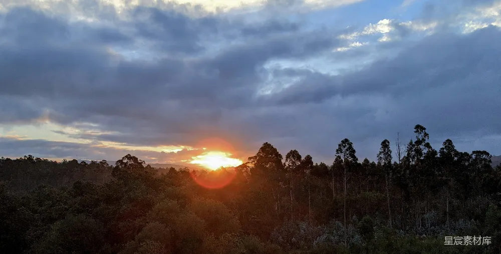 高清摄影  夕阳在树林间落下。