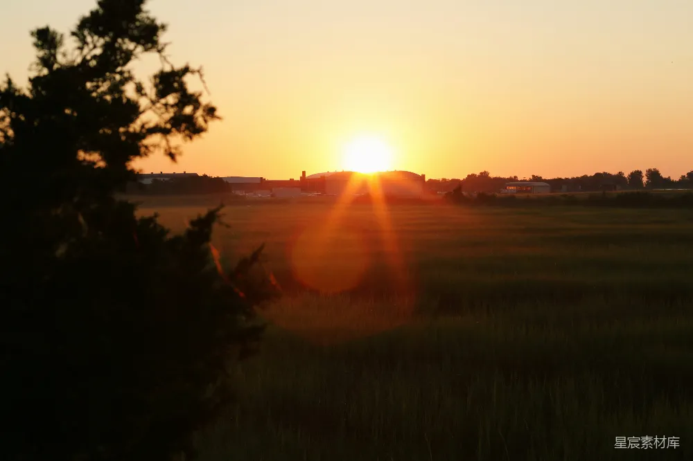 高清摄影  夕阳下的绿草地