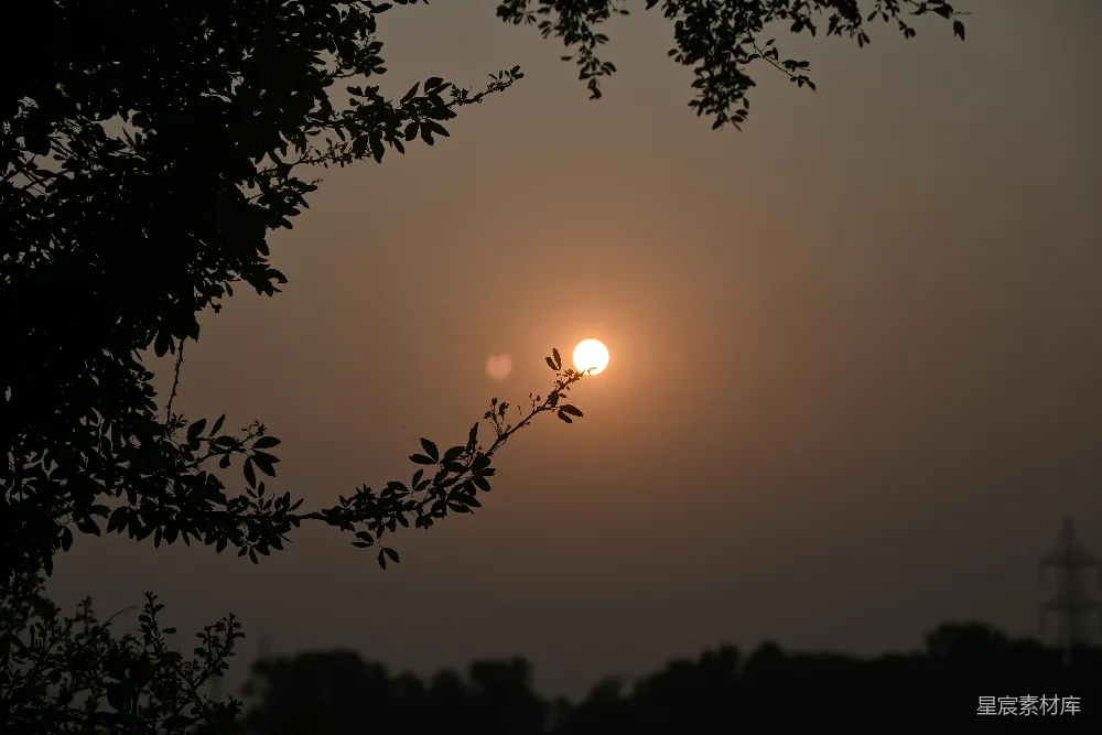 高清摄影  夕阳透过薄雾中的天空，映照着树枝。