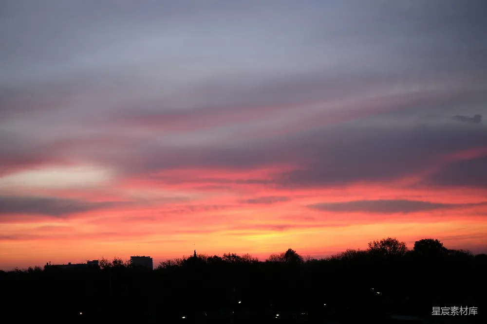 高清摄影  夕阳下树木的剪影