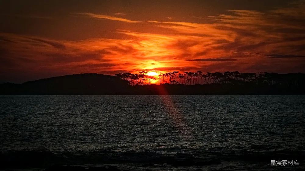 高清摄影  夕阳西下，倒映在水面上，背景中有树木。