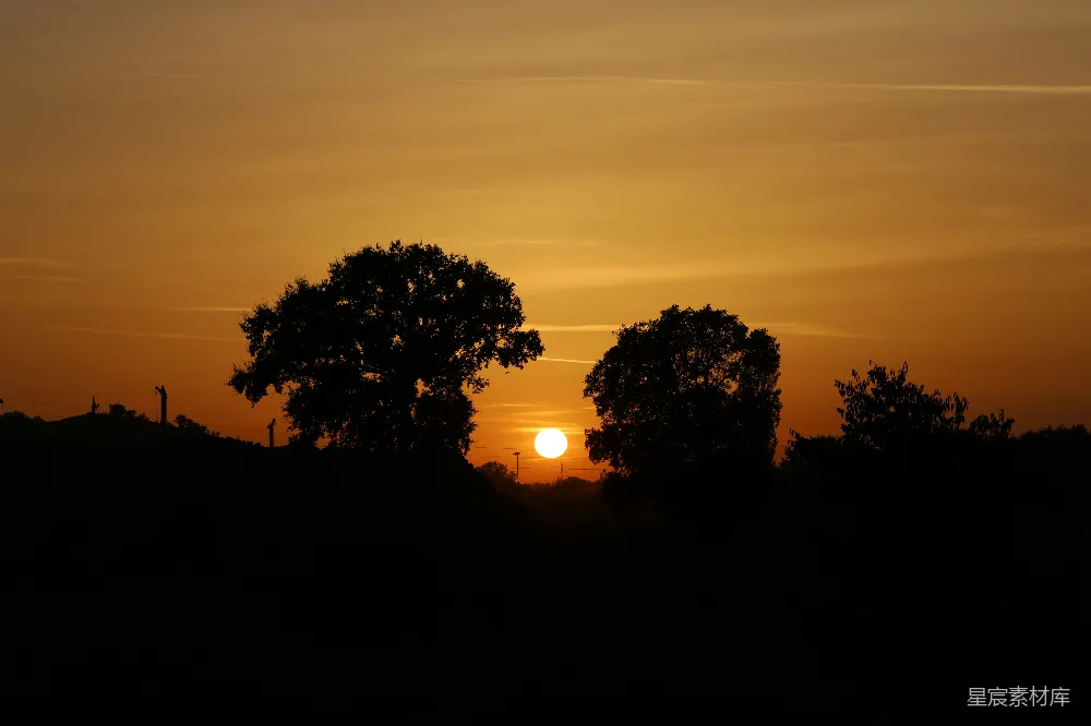 高清摄影  剪影的树木映衬着绚丽的夕阳天空。
