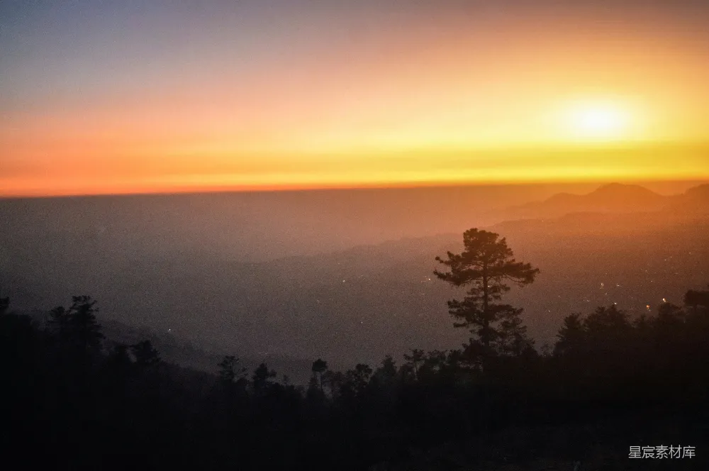高清摄影  夕阳下的山间绿树