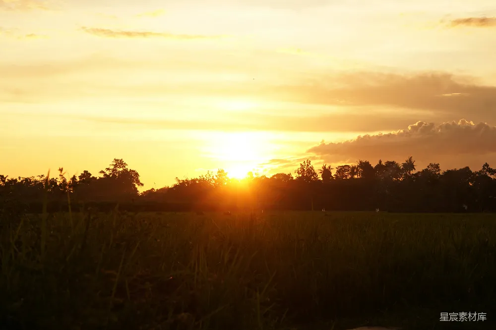 高清摄影  夕阳正在一片高草地上落下