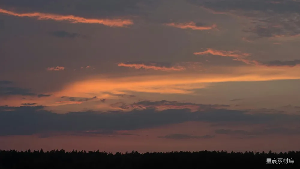 高清摄影  夕阳照在树上