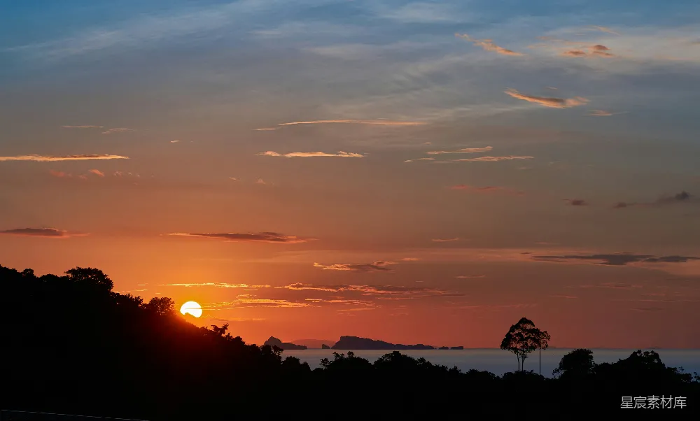 高清摄影  夕阳正照在树林和水面上。
