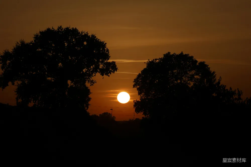 高清摄影  夕阳在剪影的树木之间闪耀。