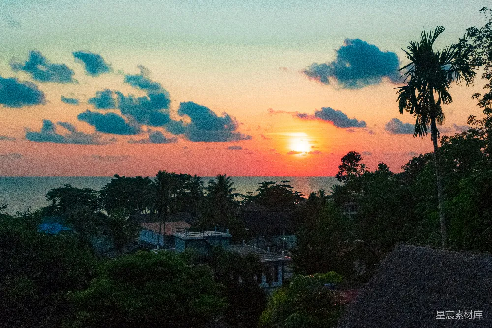 高清摄影  夕阳正映照着海面，棕榈树随风轻摇。