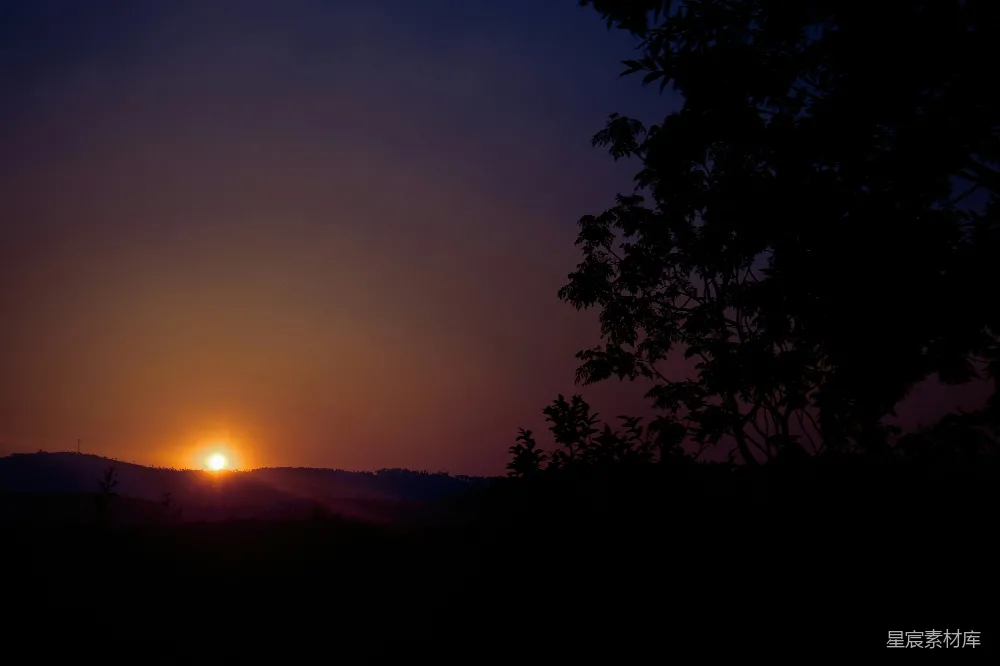 高清摄影  夕阳在远处的树后落下。