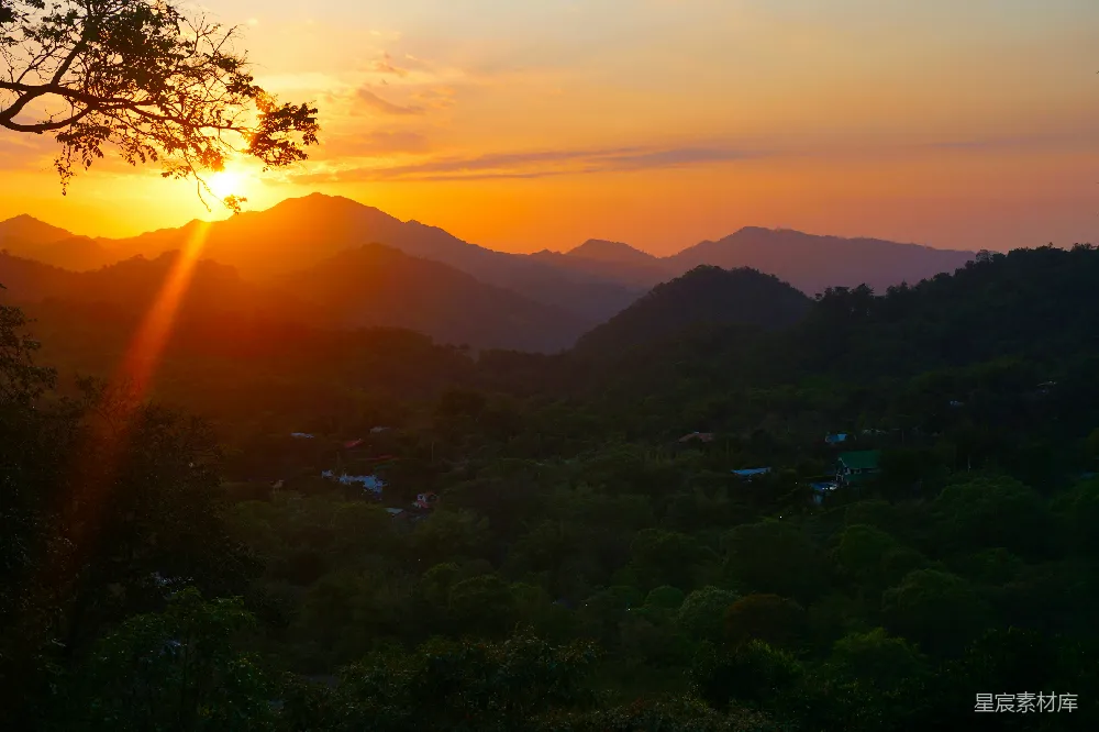 高清摄影  夕阳西下时山上的绿树