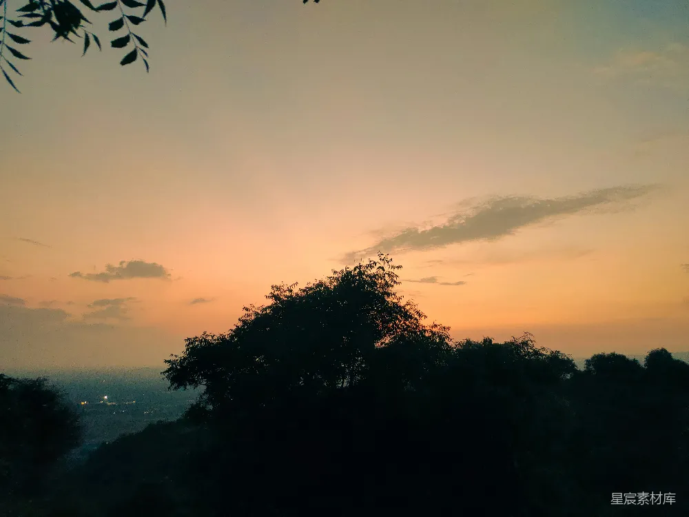 高清摄影  剪影中的树木在夕阳的天空下