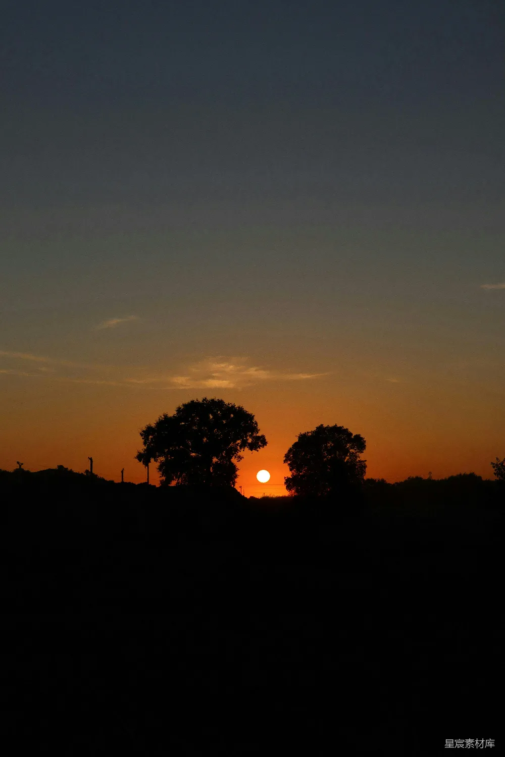 高清摄影  夕阳下，两棵树剪影在熊熊燃烧的天空中。