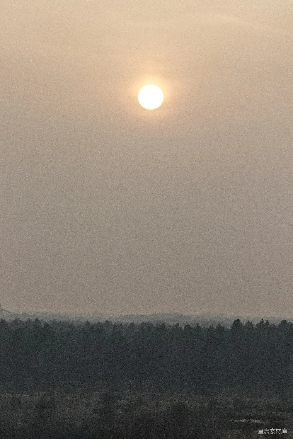 高清摄影  夕阳照耀在薄雾笼罩的森林景观上