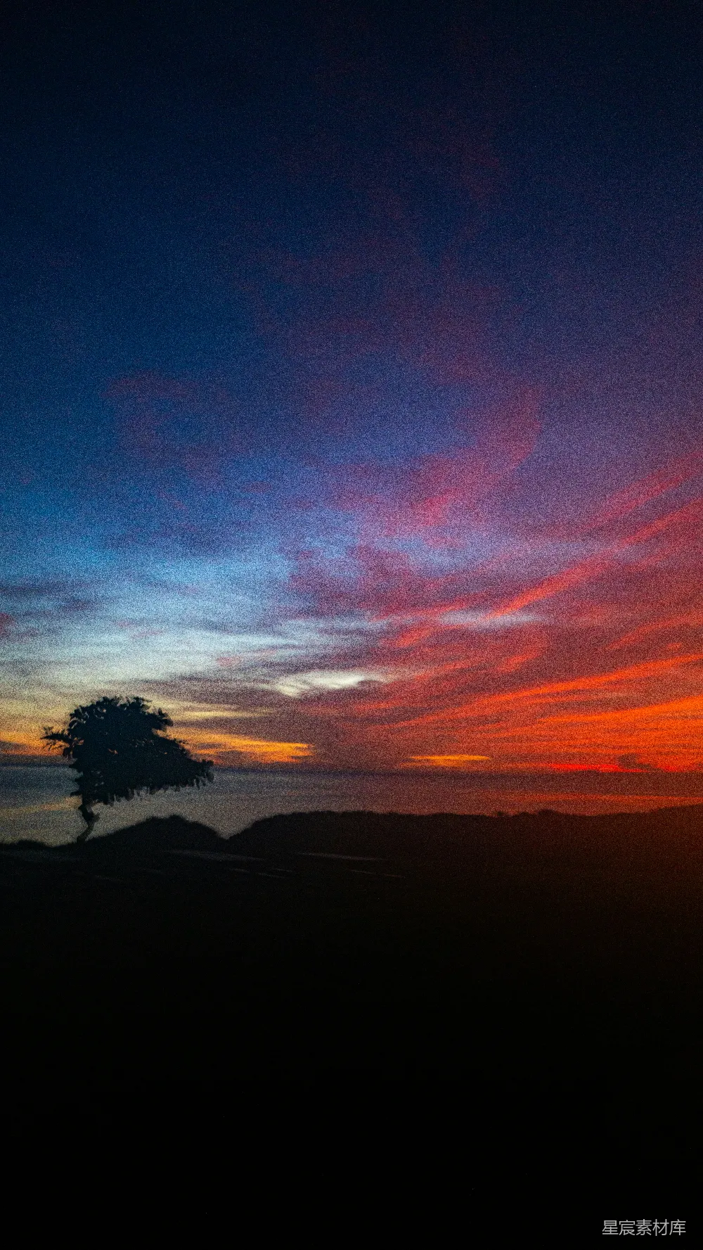 高清摄影  一棵孤独的树在绚丽的夕阳背景下剪影。