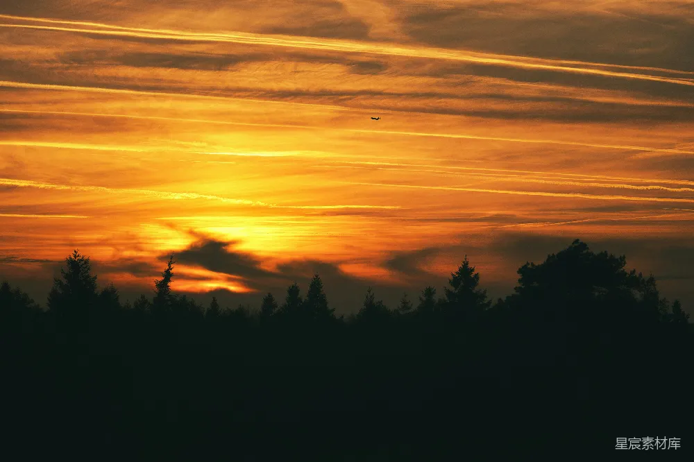 高清摄影  夕阳映照着一片黑暗的森林剪影