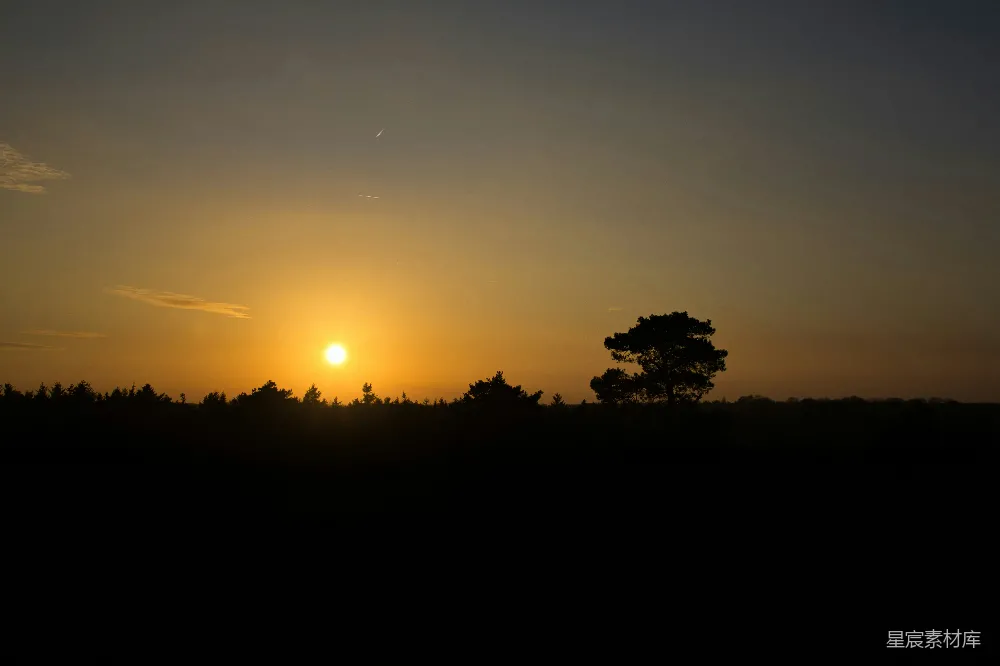 高清摄影  夕阳西下，映照在剪影般的地平线上，一棵孤独的树矗立其中。