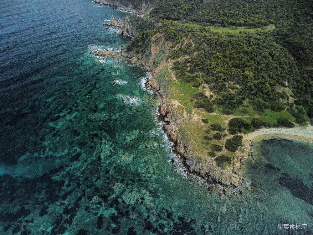 高清摄影  有树和水的海滩