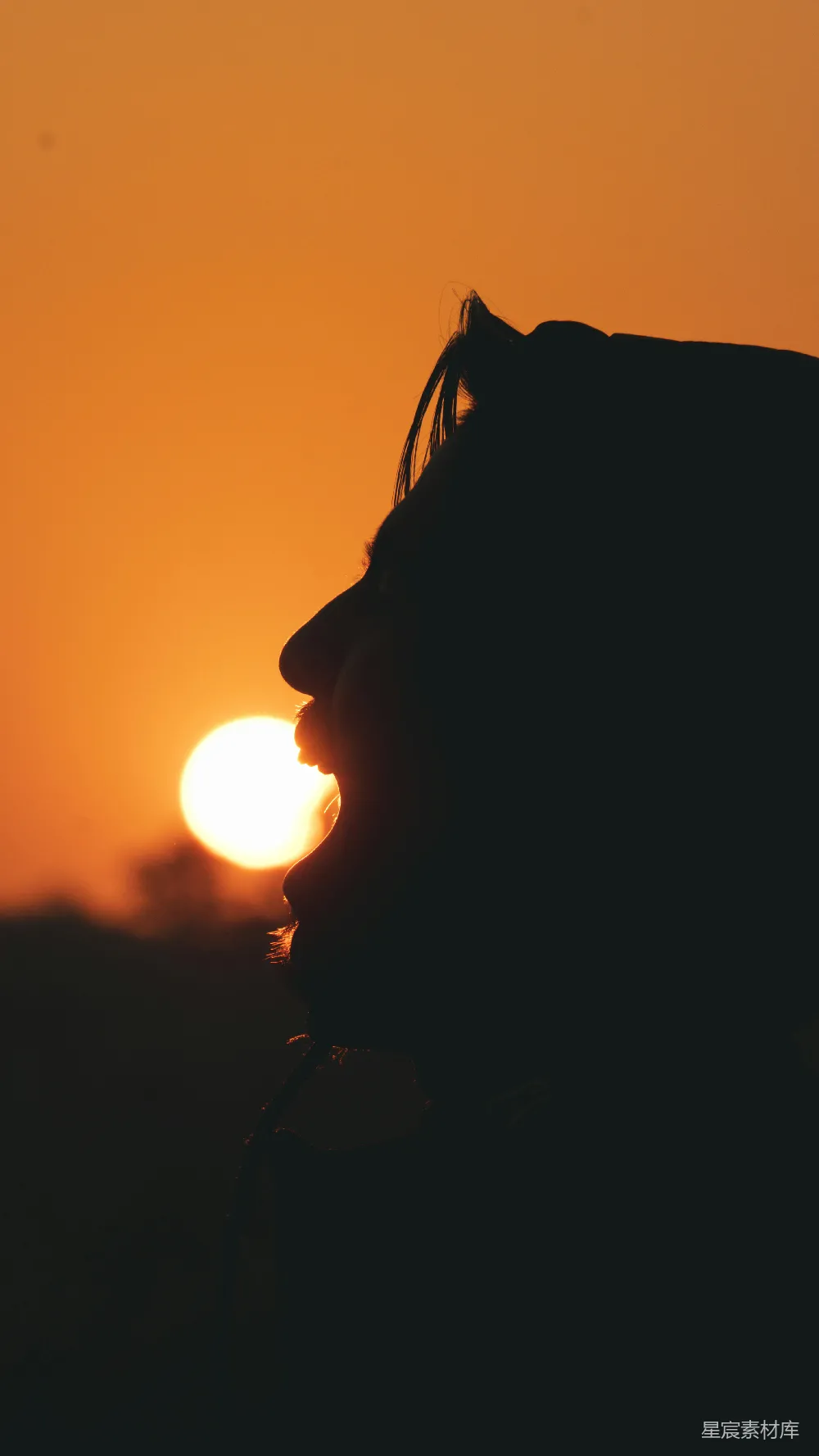 高清摄影  太阳正落在这位男子剪影后方。