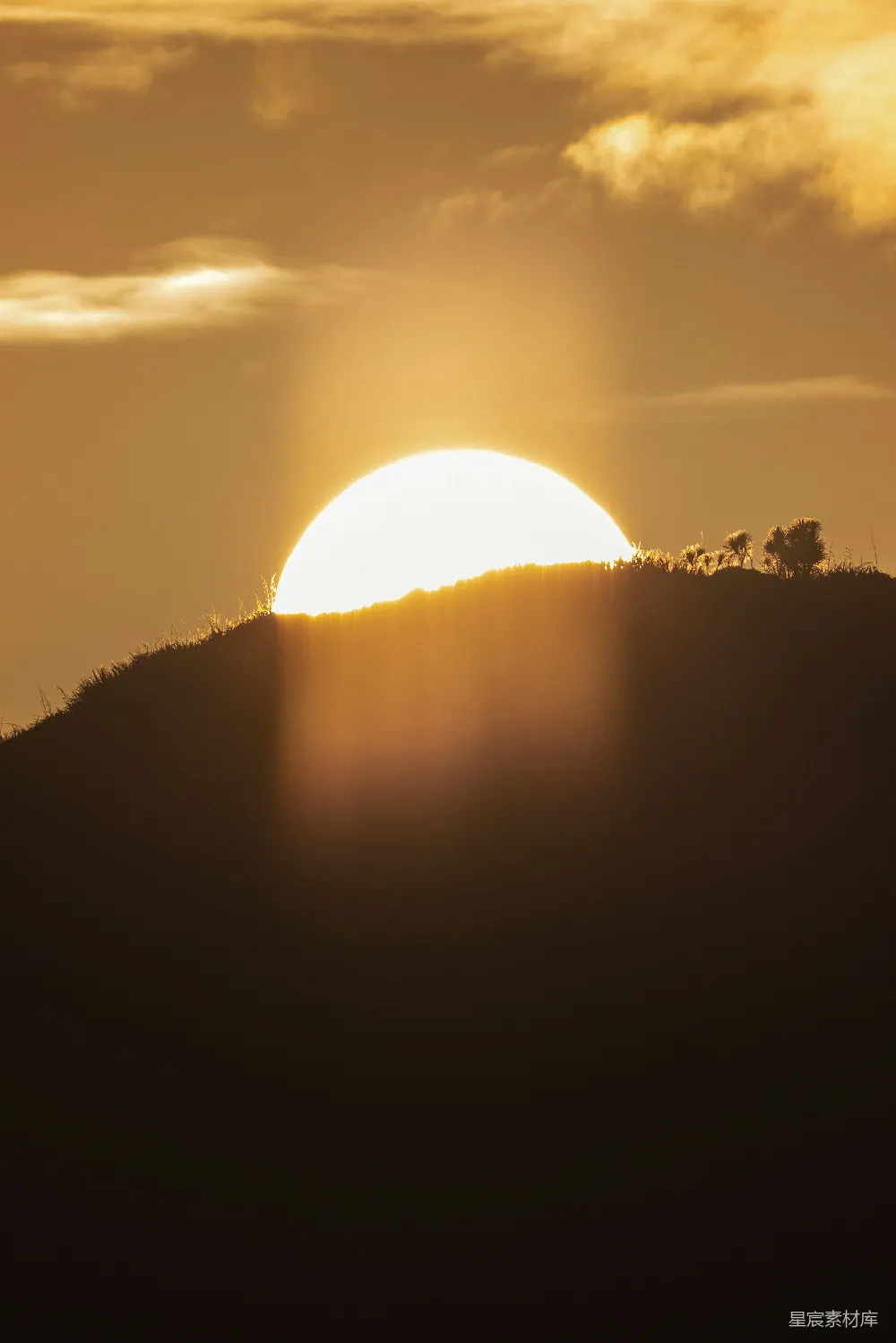 高清摄影  夕阳西下，近景处有一匹马。