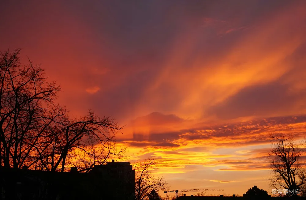 高清摄影  夕阳西下，前景中有云朵和树木。