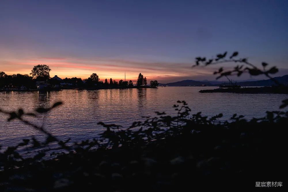 高清摄影  一片水面，背景中有树木和夕阳。