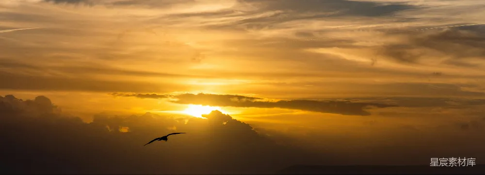 高清摄影  夕阳西下时，一只鸟在空中飞翔。