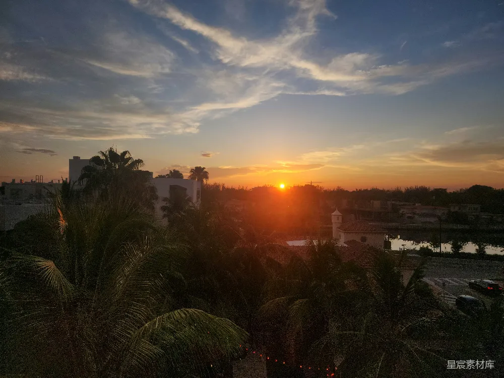 高清摄影  夕阳映照在城市上空，棕榈树影婆娑。
