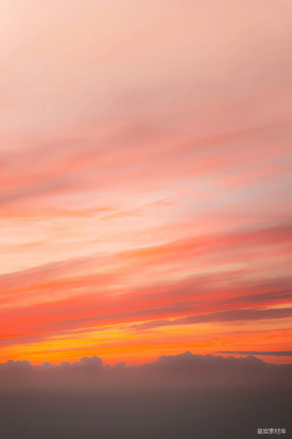 高清摄影  一架飞机在夕阳中飞行。