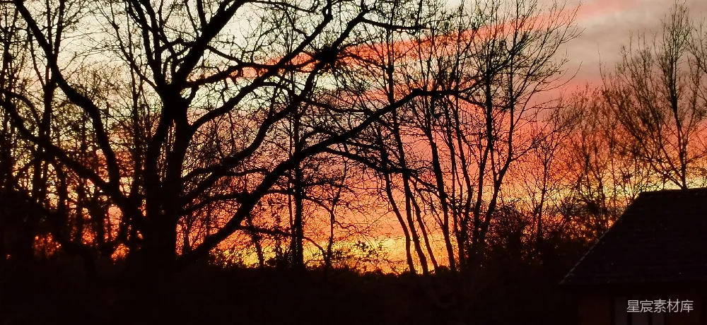 高清摄影  夕阳西下，背景中树木和建筑物相映成景。