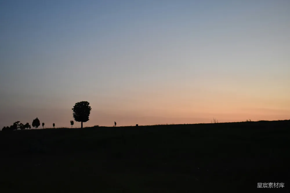 高清摄影  夕阳西下时，山顶上的一棵孤树